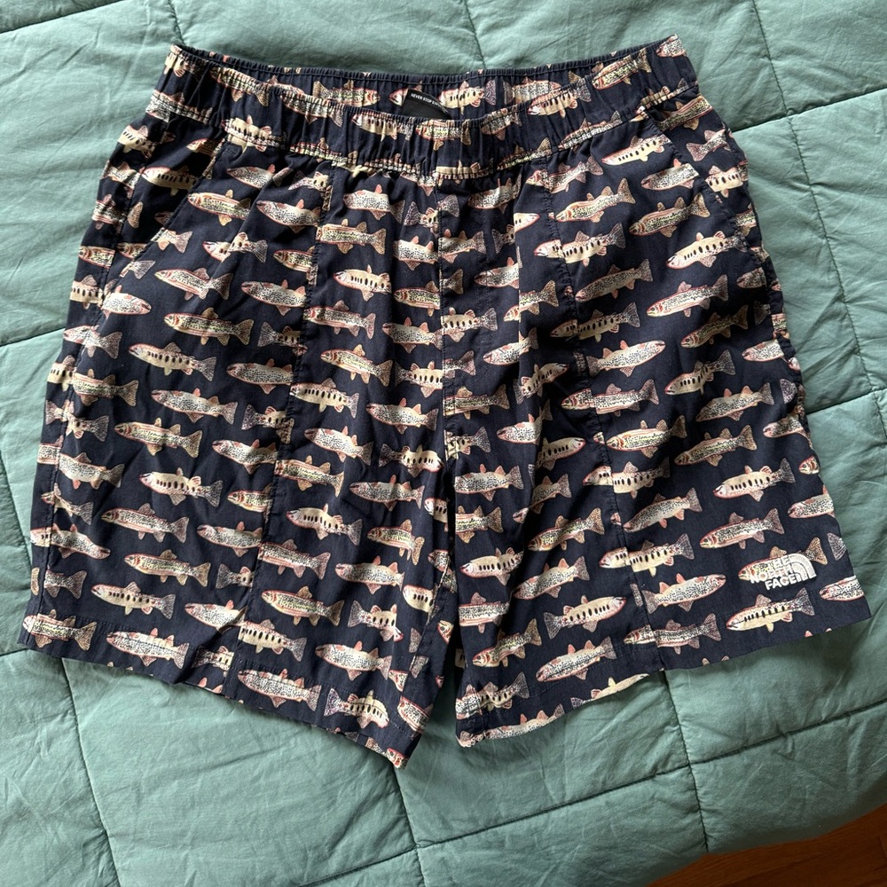 The North Face Men’s Class V Pull-on shorts size Medium